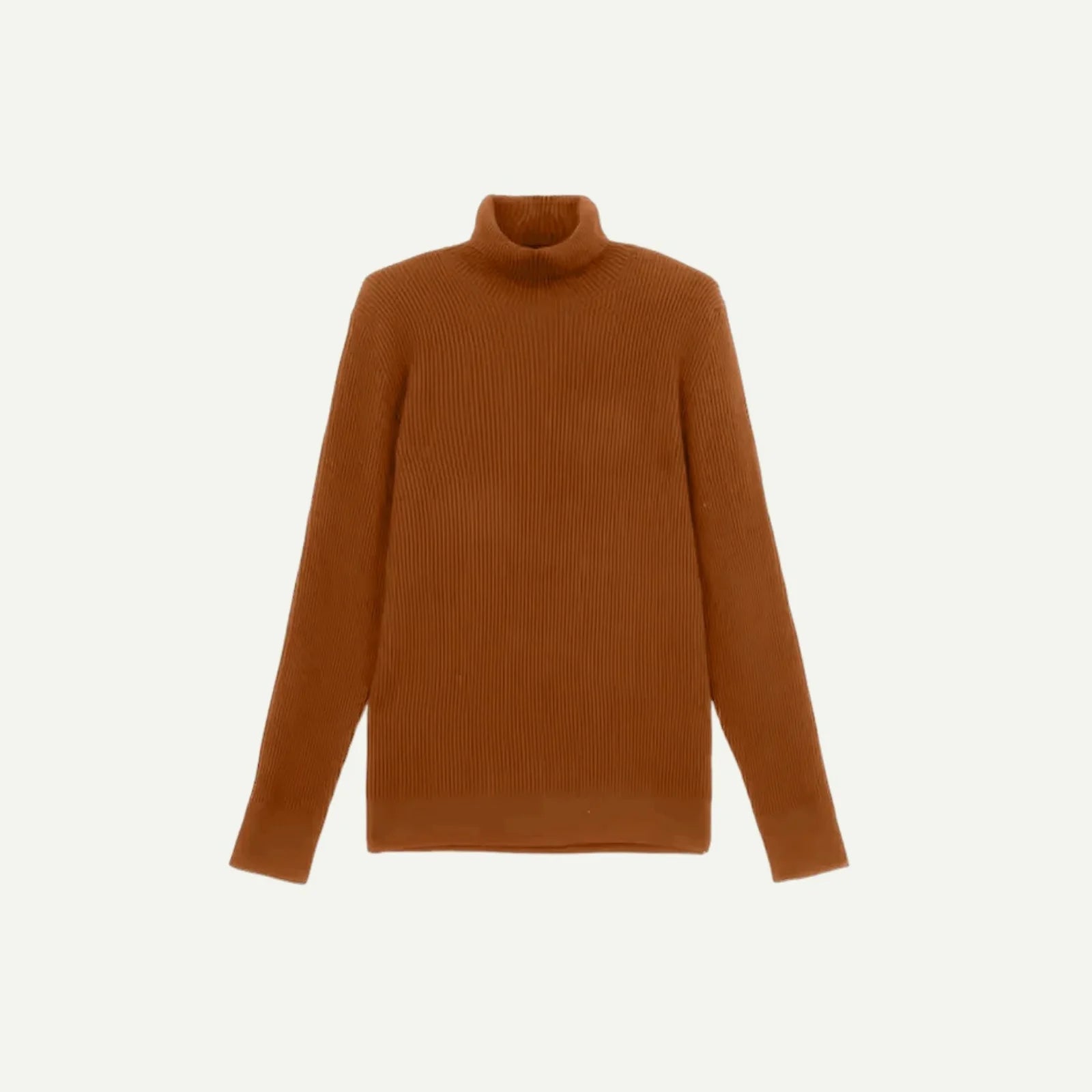 Marcello Ribbed Turtleneck