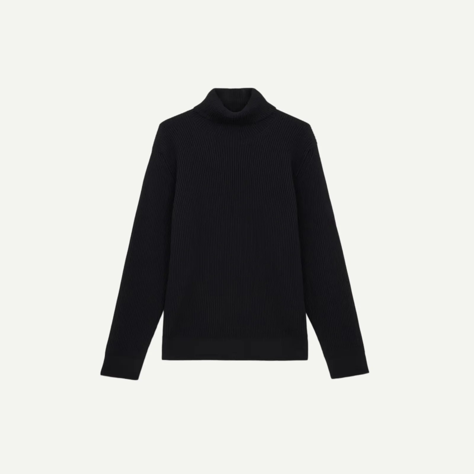 Marcello Ribbed Turtleneck